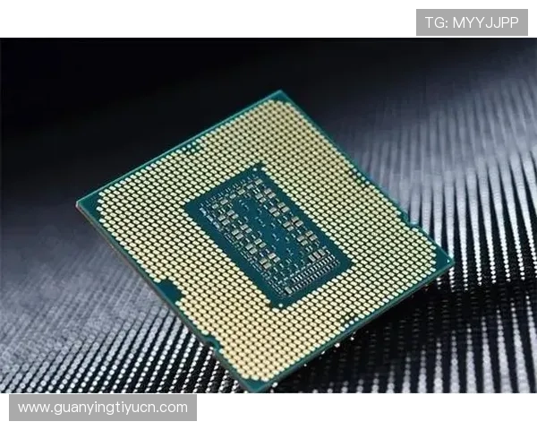 博鱼中国官网安全保障措施解析，确保玩家账号信息安全与交易安全的全面保障方案