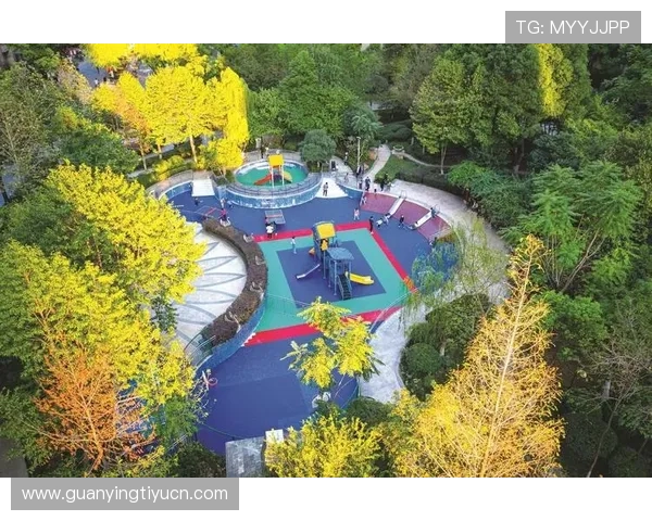 博鱼体育综合平台为体育爱好者提供的多元化互动社区与交流平台介绍