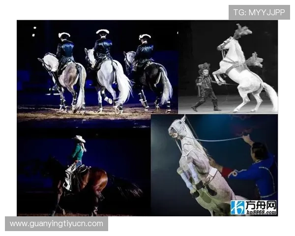 8868体育正规网址官方平台推荐，提供优质的客户服务与丰富的赛事资源